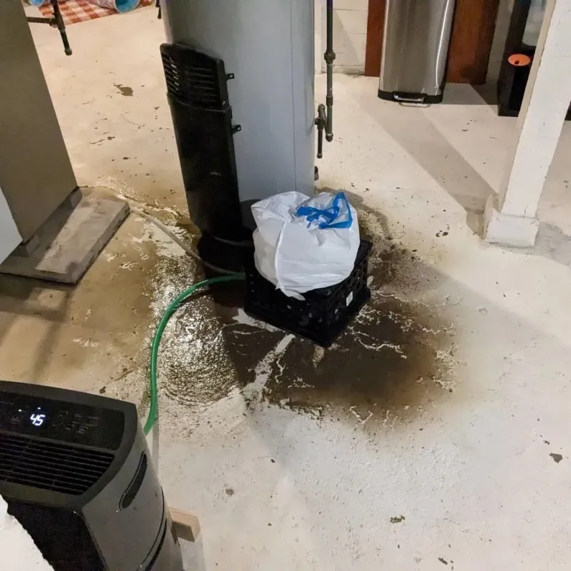 Sewage Backup Cleanup Service in Bogota, NJ